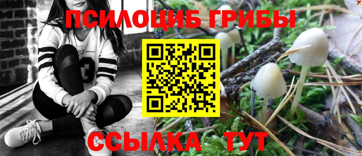Псилоцибиновые грибы мицелий Брянск